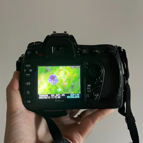Nikon d300 solo - nikon, +